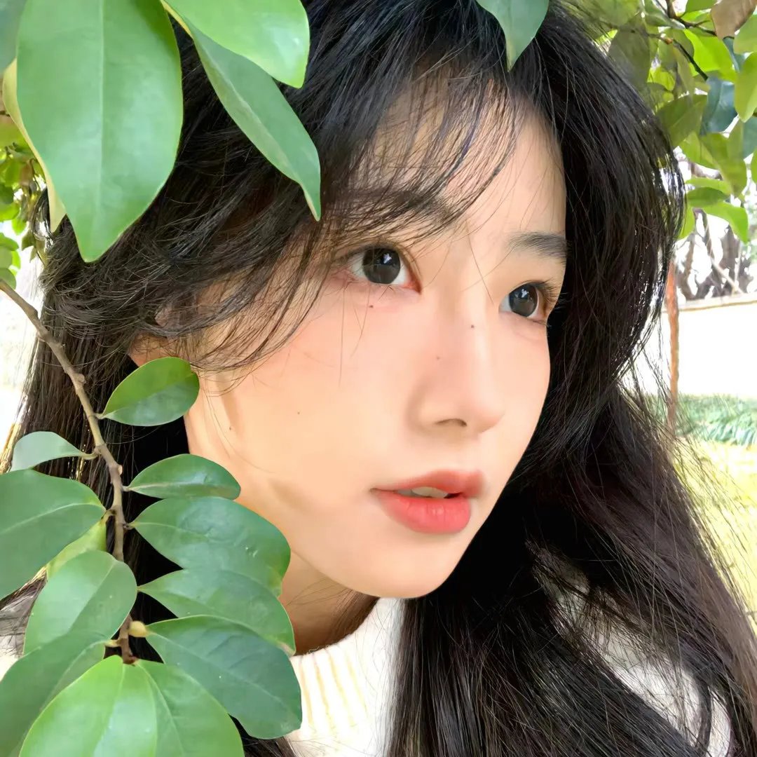 珍布